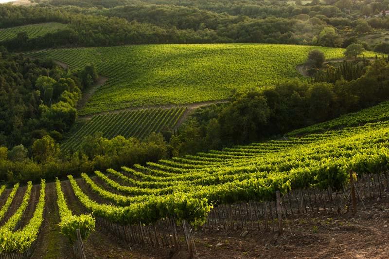 Oria turns two — community of owners in Val d'Orcia