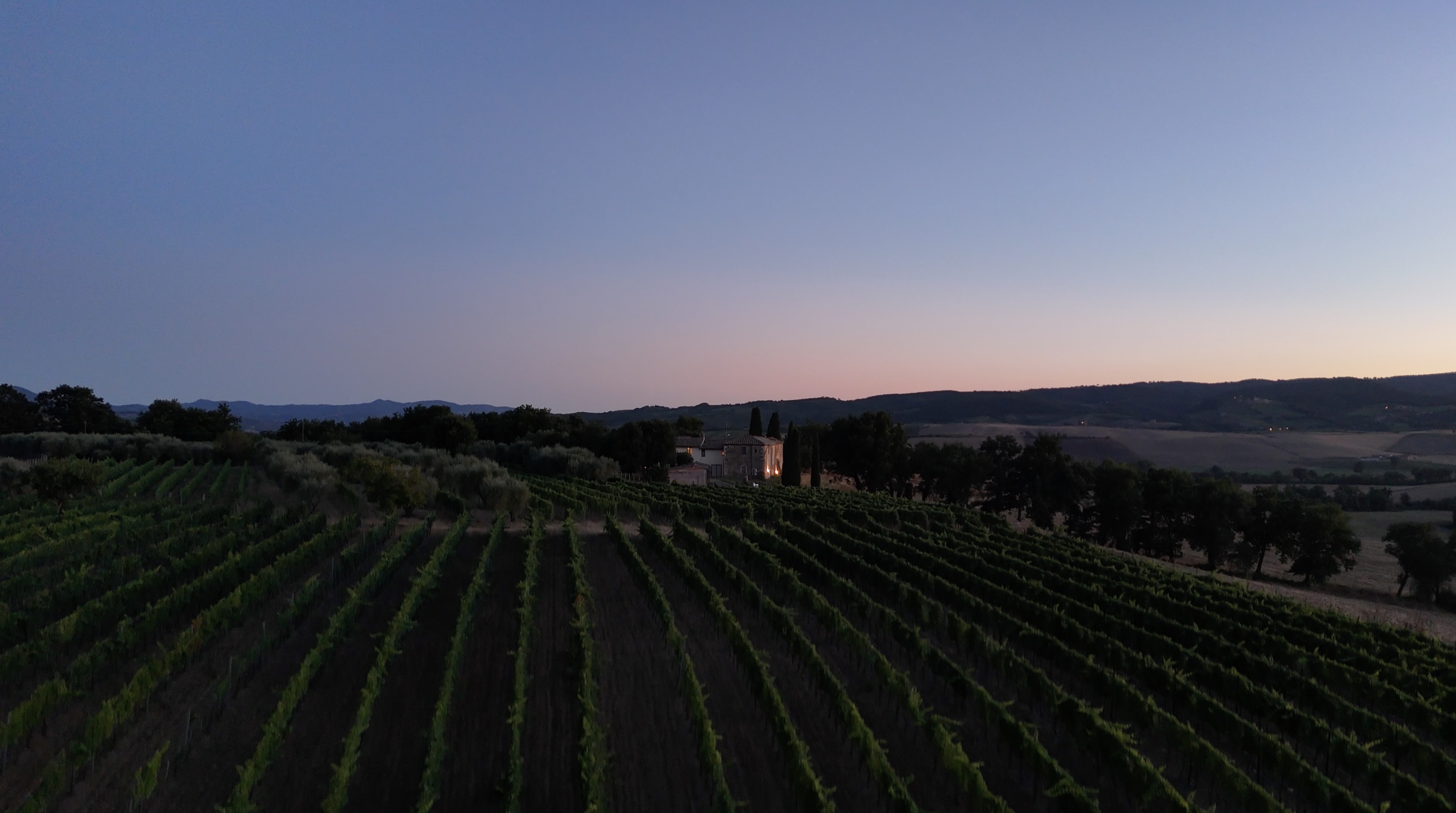 Val d'Orcia — Vigneto di Oria al crepuscolo, Toscana UNESCO