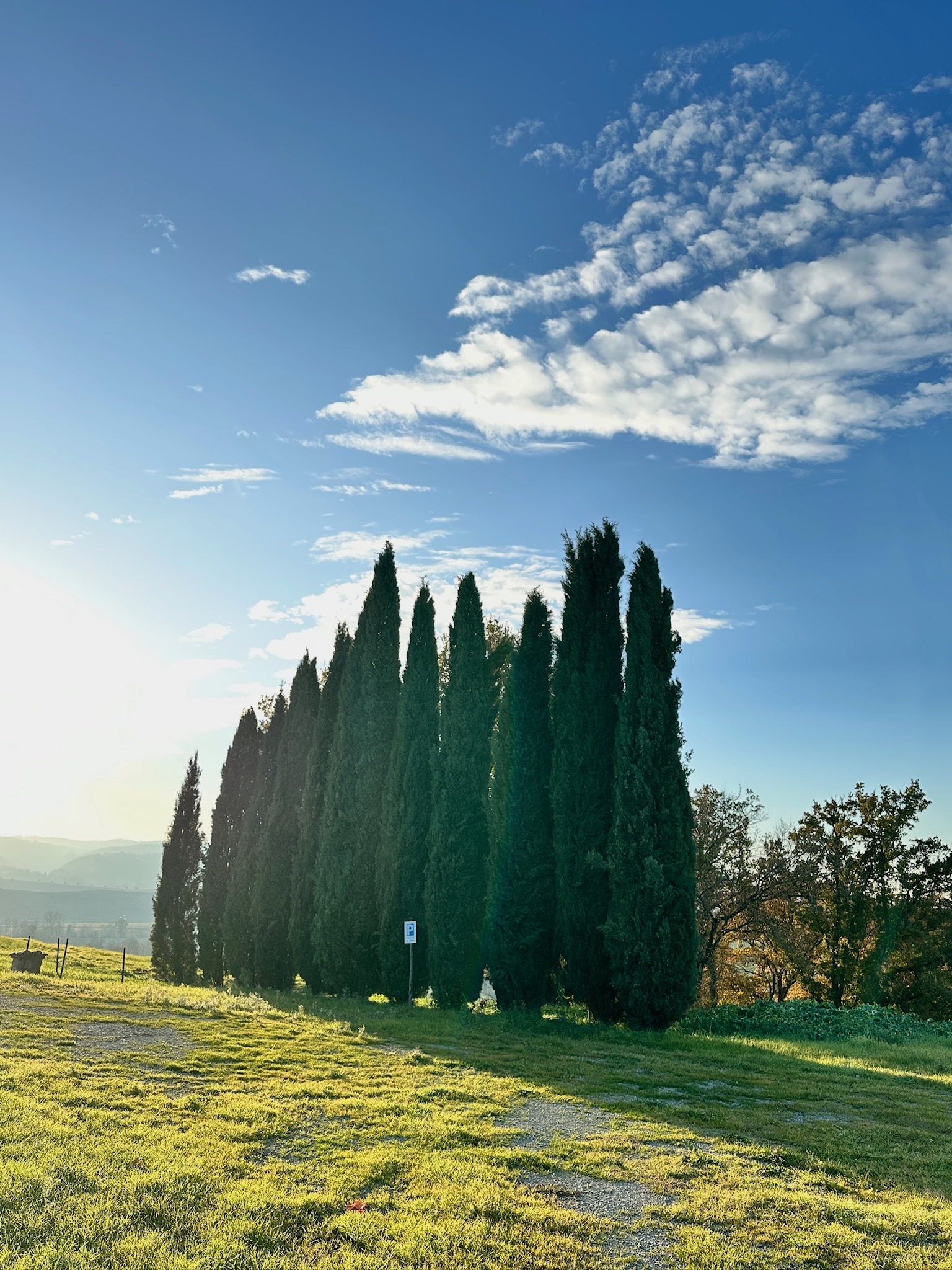 Cipressi della Val d'Orcia all'alba, accanto al monastero di Oria
