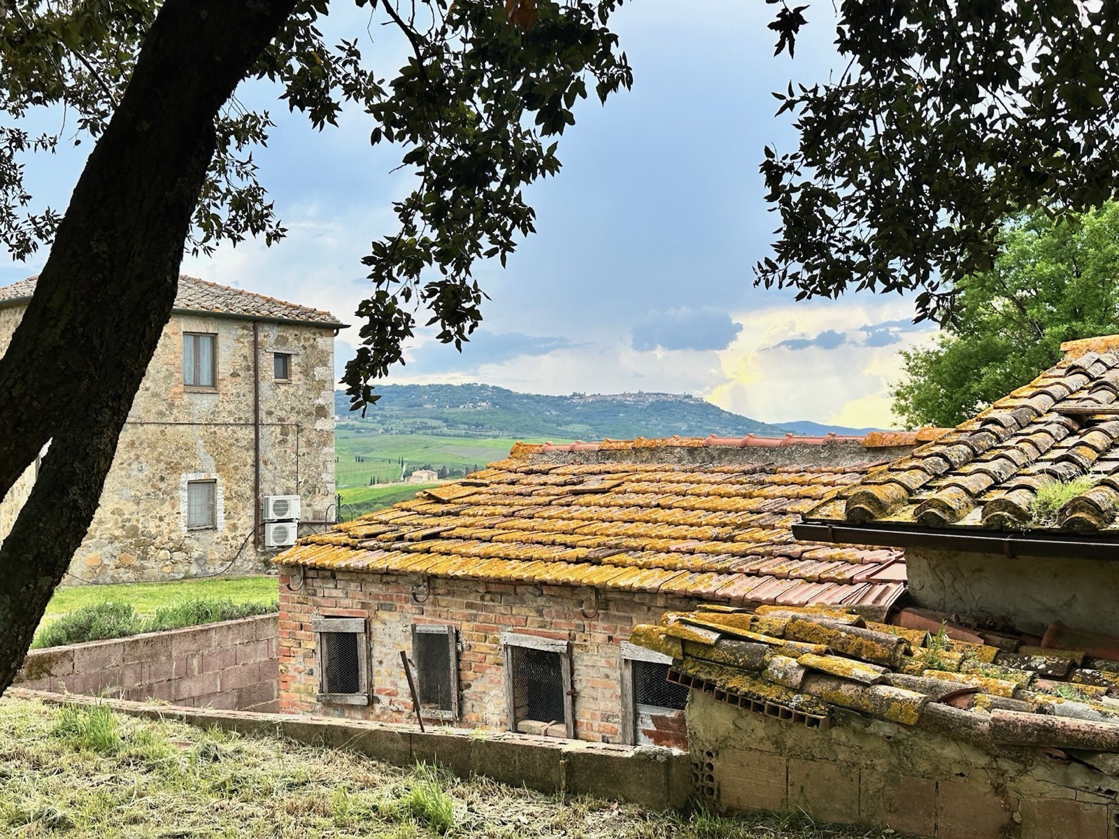 Tetti rossi in coppi con muschio dorato dell'Agriturismo Oria, con le colline del Val d'Orcia sullo sfondo