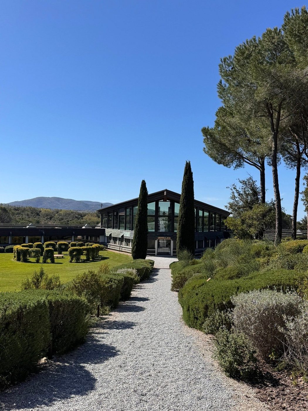Tenuta Ornellaia a Bolgheri — il viale verso la cantina
