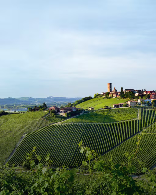 Paesaggio vitivinicolo delle Langhe, Barolo