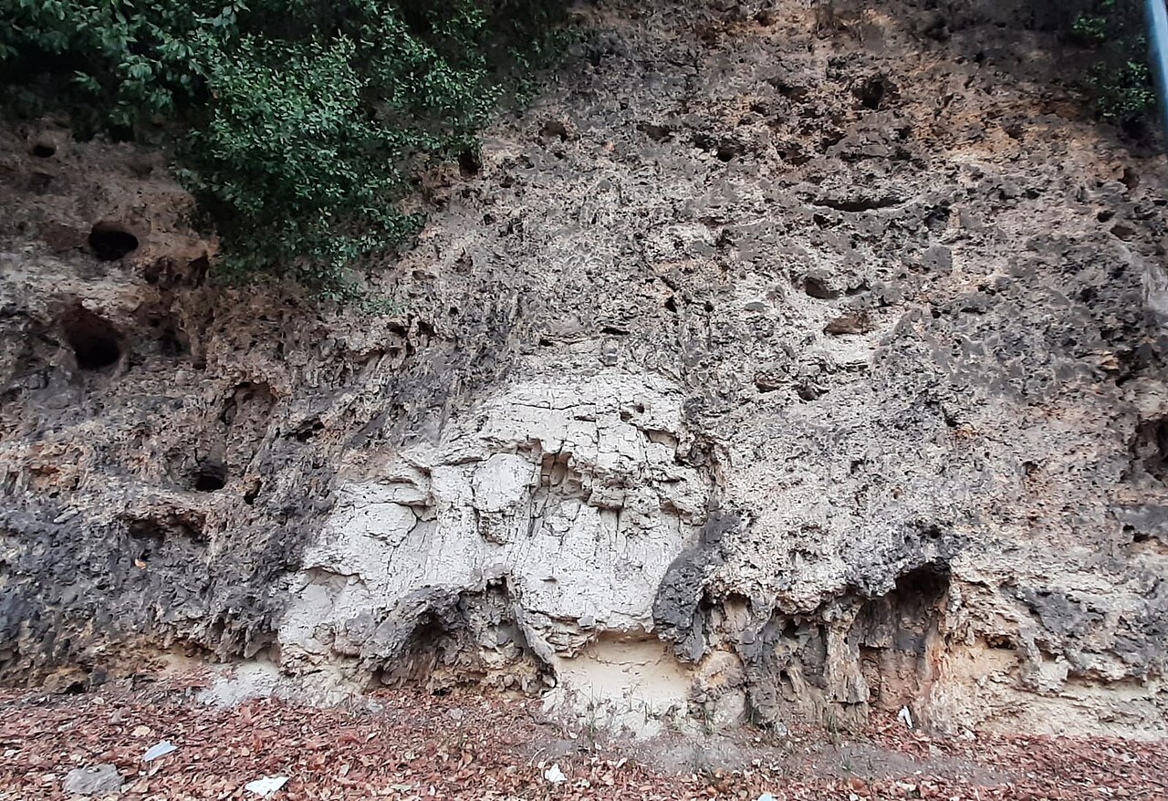 Affioramento naturale di travertino con la sua porosità caratteristica