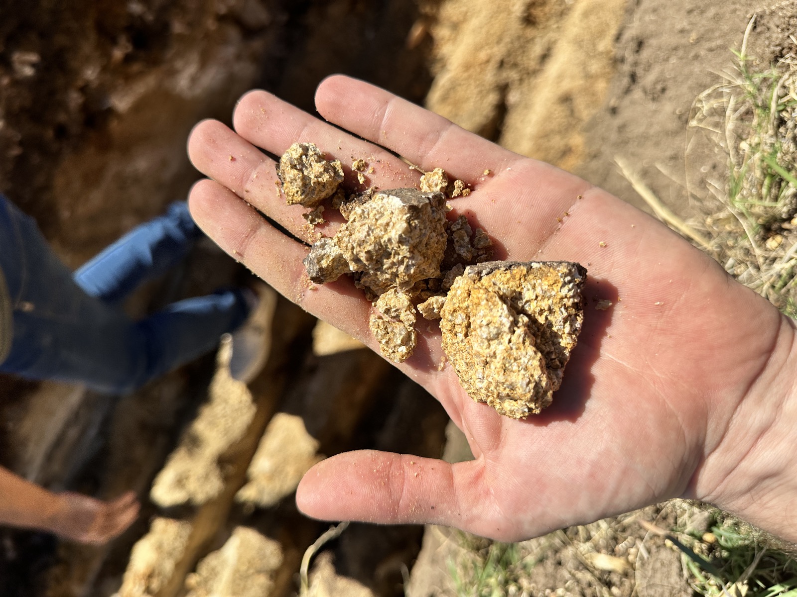 Basaltgestein des Bodens von Chacras de las Cañas — Terroir Uruguay